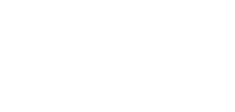 Logo Vila Nova