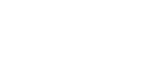 Logo Passaredo