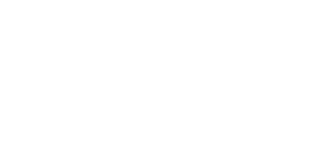 Logo Rodonaves